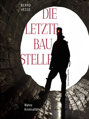 cover image of Die letzte Baustelle